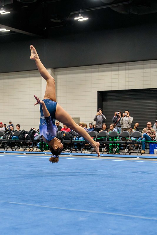 Meet Day Coverage Gymnastics