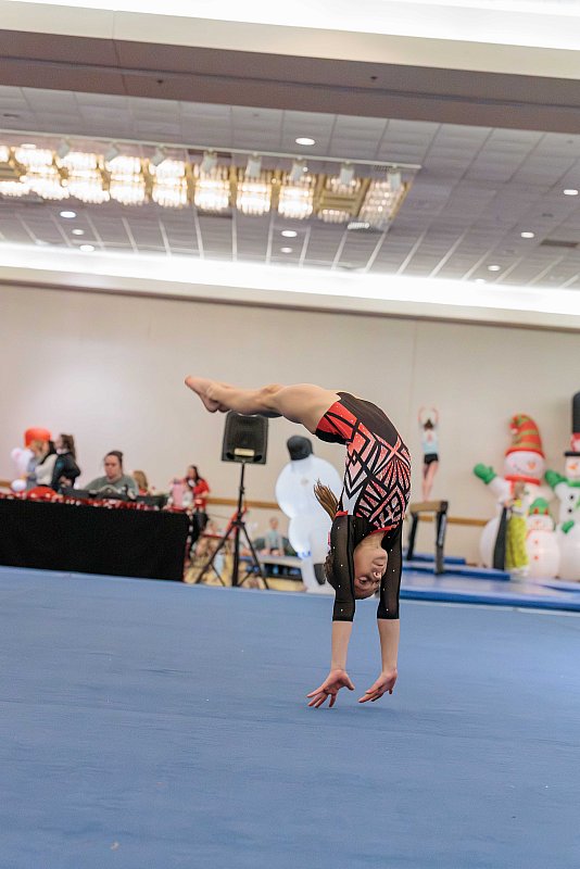 Liza Jane Photography Santa Invitational gymnastics meet3.jpg