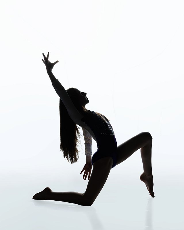 Leah's Gymnastics Media Day Silhouette